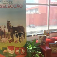 racoes seleccao